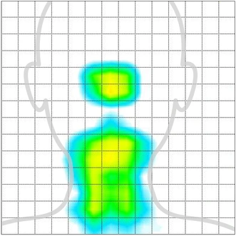 ダブル枕の圧力分布。首・肩・頭の 3 点に圧力が分散している